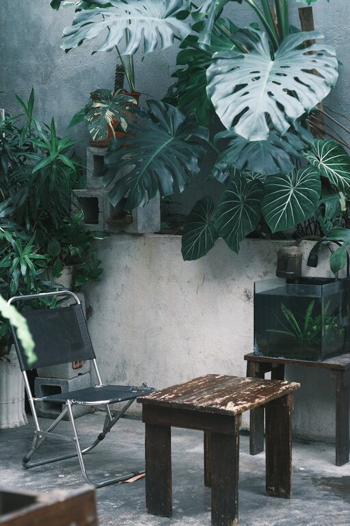 Tips for Creating a Relaxing Home Garden Space